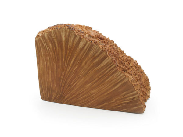 PLATEAUX BEST QUALITY