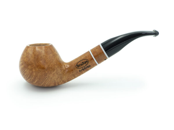 PIPA ARBÓREA 105 2026 – RIOJA